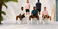 Lot de 3 t-shirts BASIC